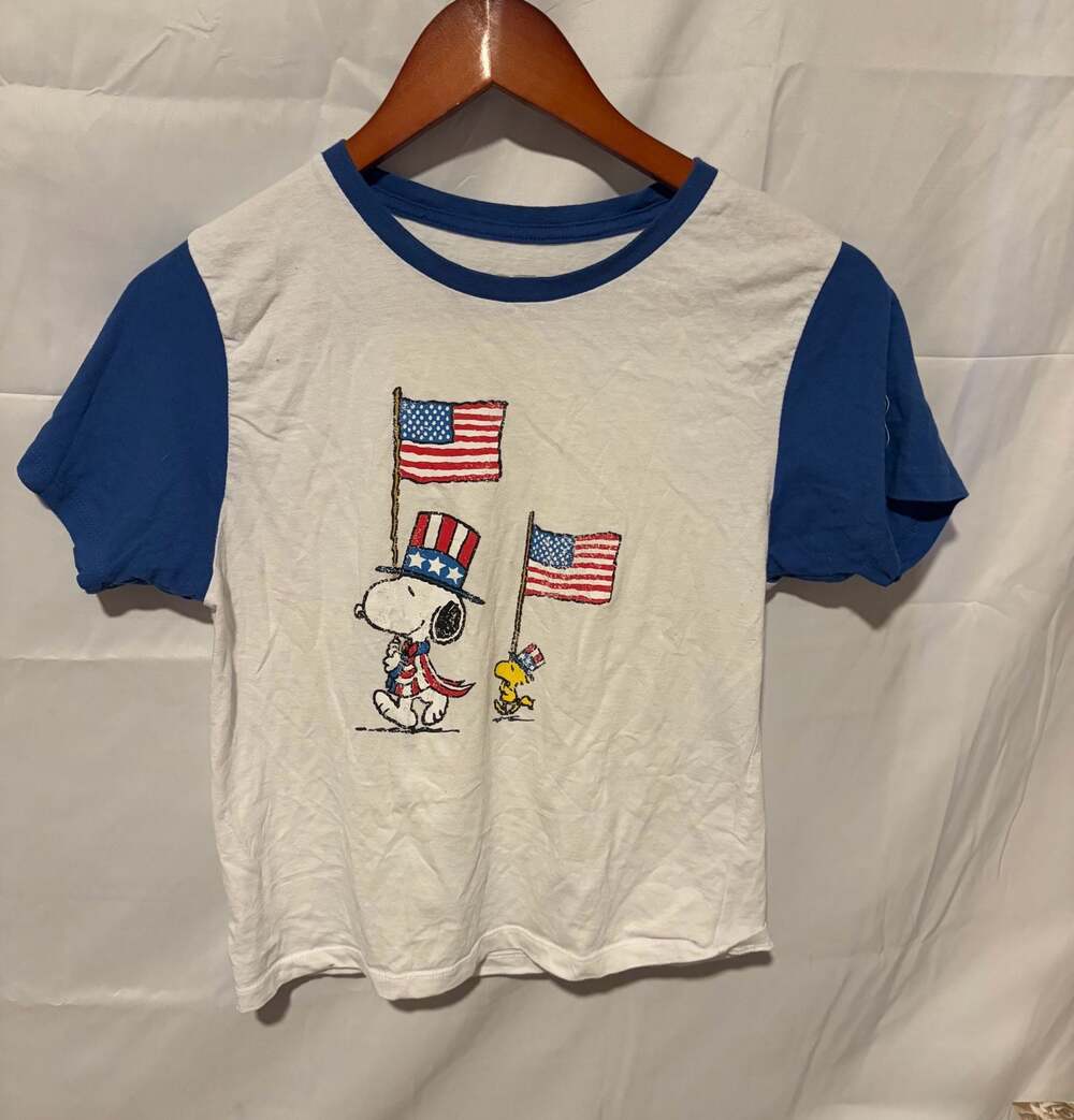 Peanuts Snoopy and Woodstock Flags Short Sleeve Graphic T-Shirt - White - Medium